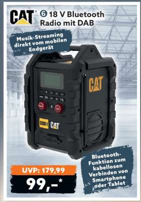 18 V Bluetooth Radio mit DAB