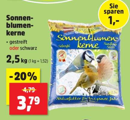 Sonnenblumenkerne
