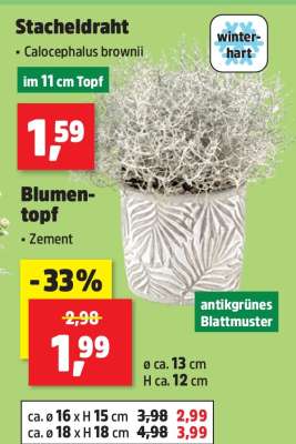 Blumentopf*
