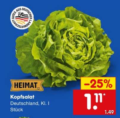 Kopfsalat