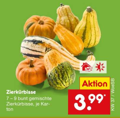 Zierkürbisse
