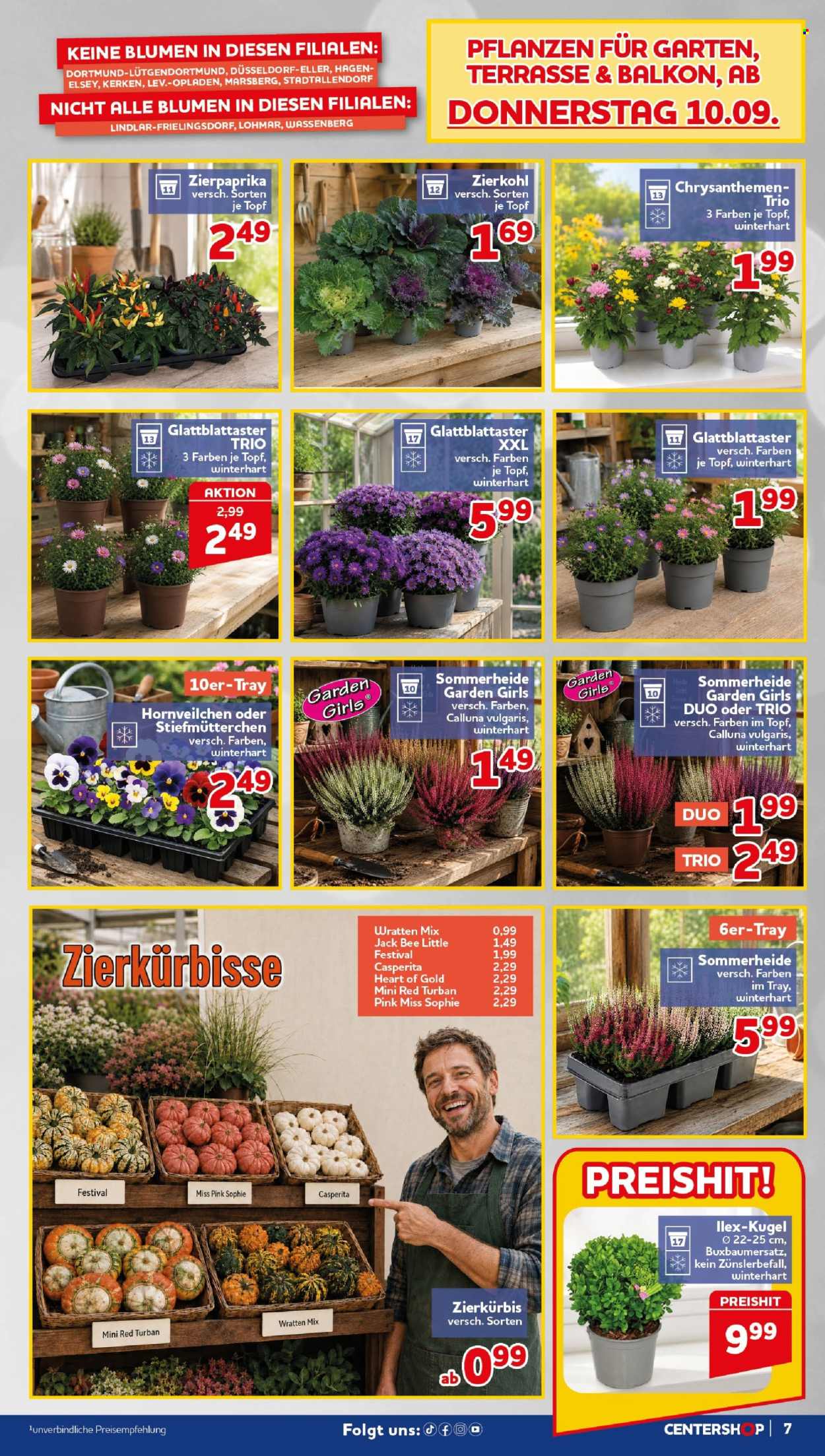 CENTERSHOP Prospekte  - 7.09.2026 - 12.09.2026. Seite 7