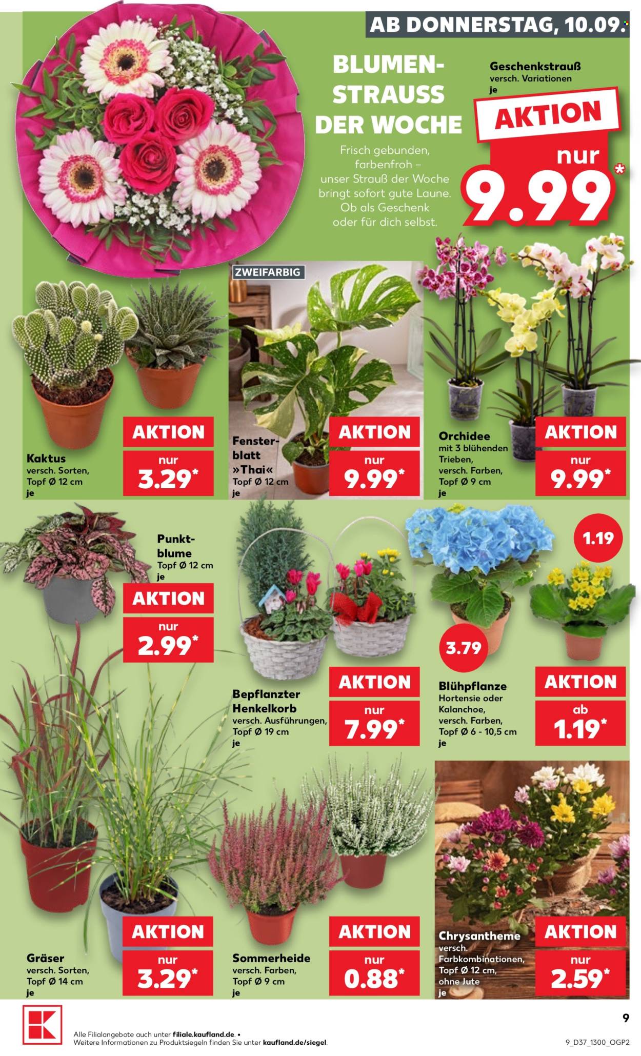Kaufland Prospekte  - 10.09.2026 - 16.09.2026. Seite 9