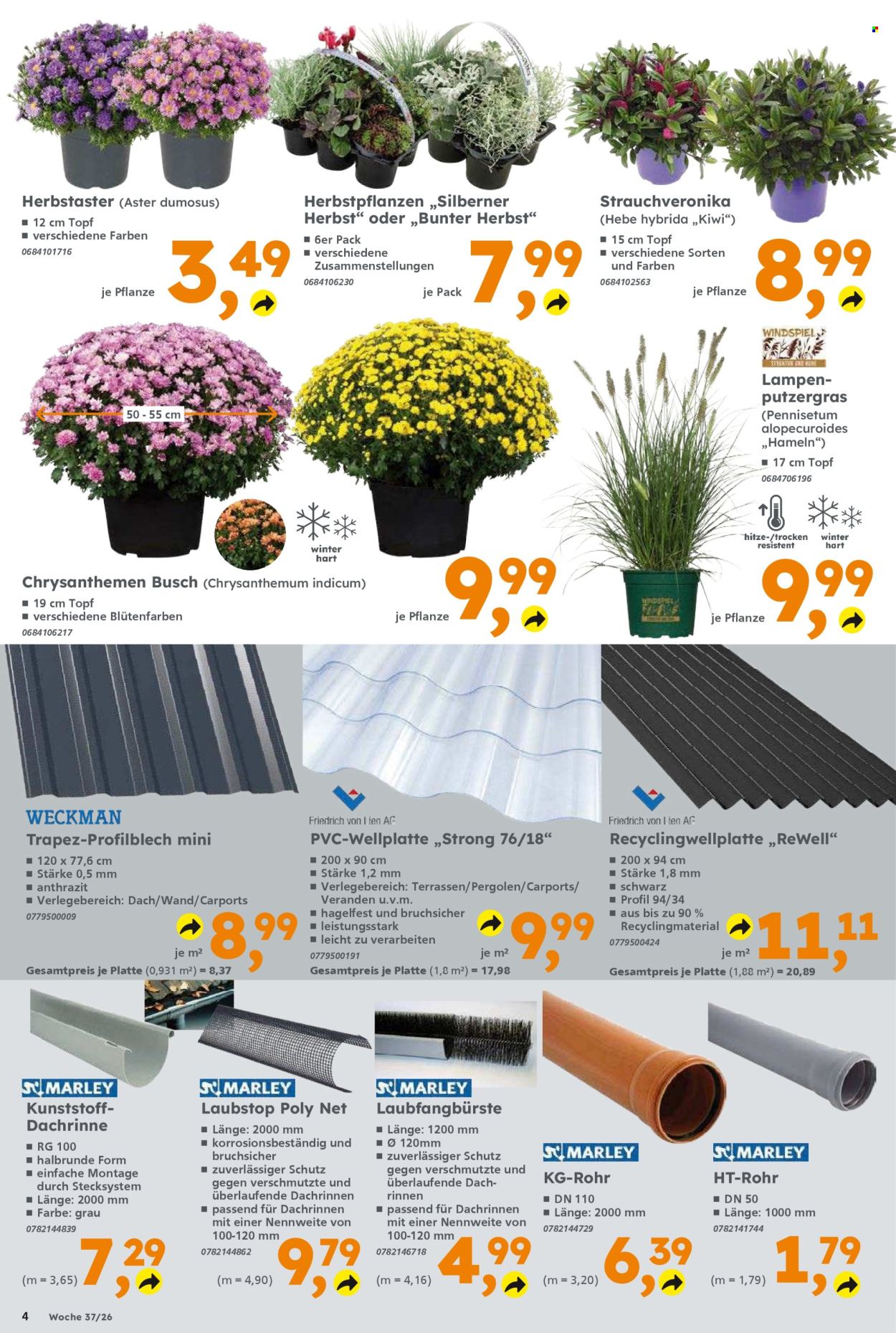 Globus Baumarkt Prospekte  - 7.09.2026 - 12.09.2026. Seite 4