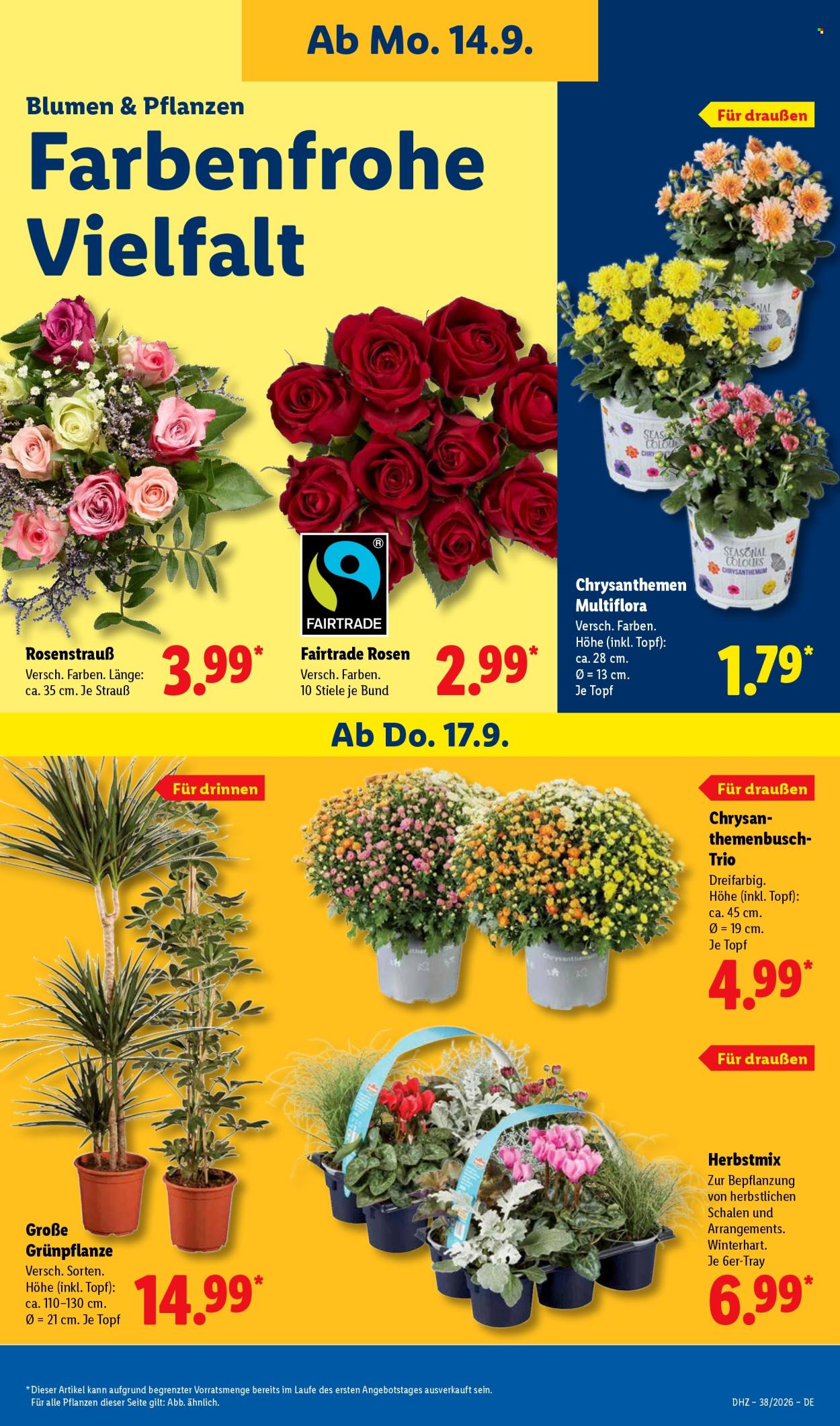 Lidl Prospekte  - 14.09.2026 - 19.09.2026. Seite 23