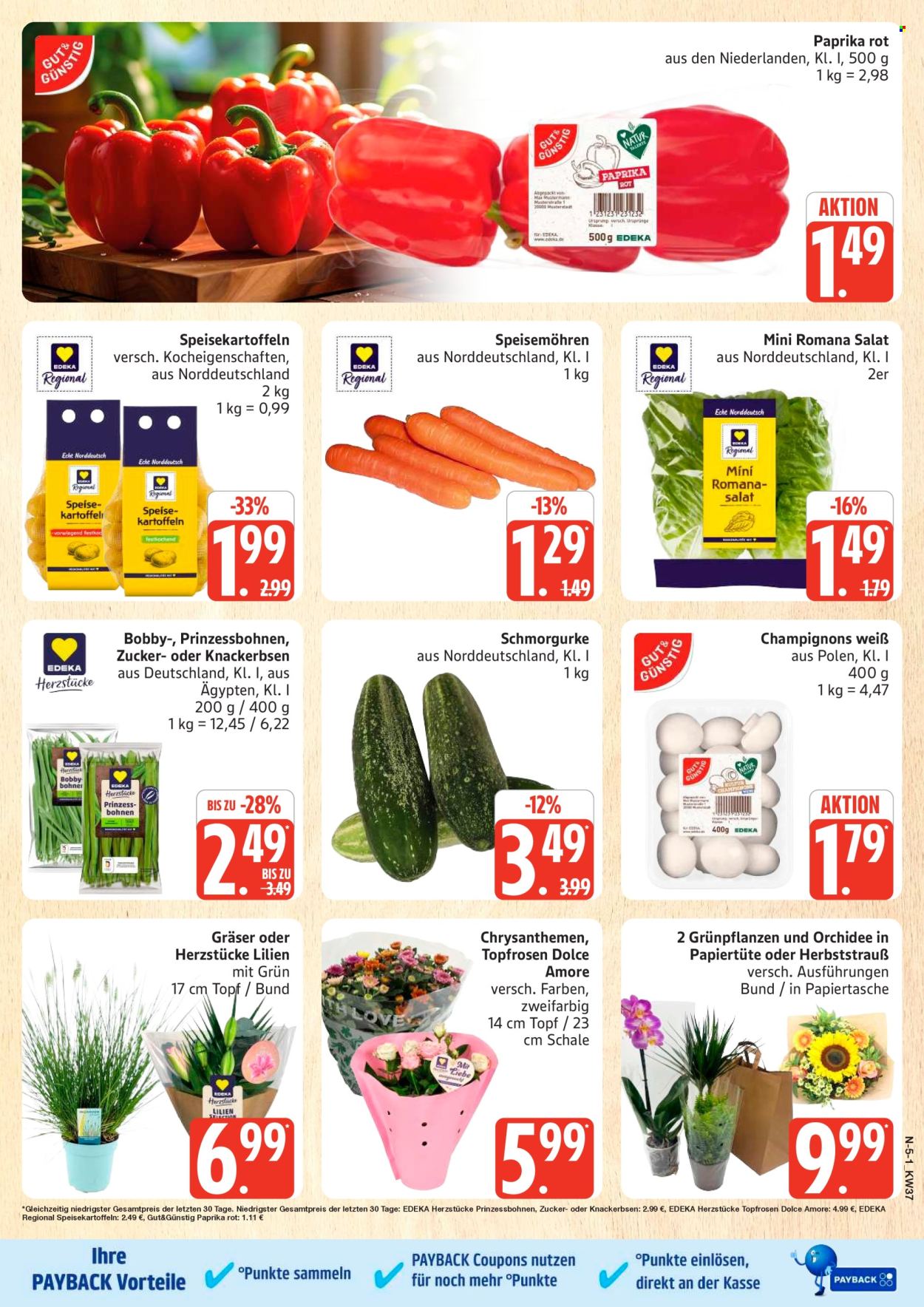 Marktkauf Prospekte  - 7.09.2026 - 12.09.2026. Seite 5