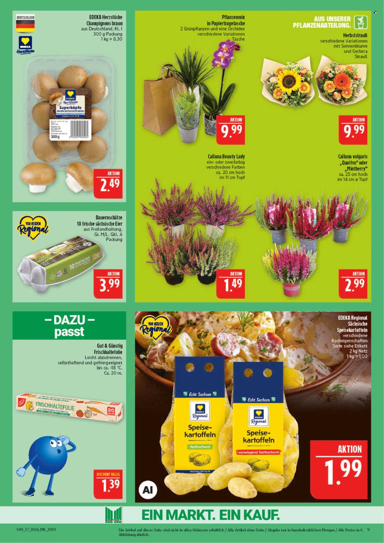 Marktkauf Prospekte  - 7.09.2026 - 12.09.2026. Seite 9