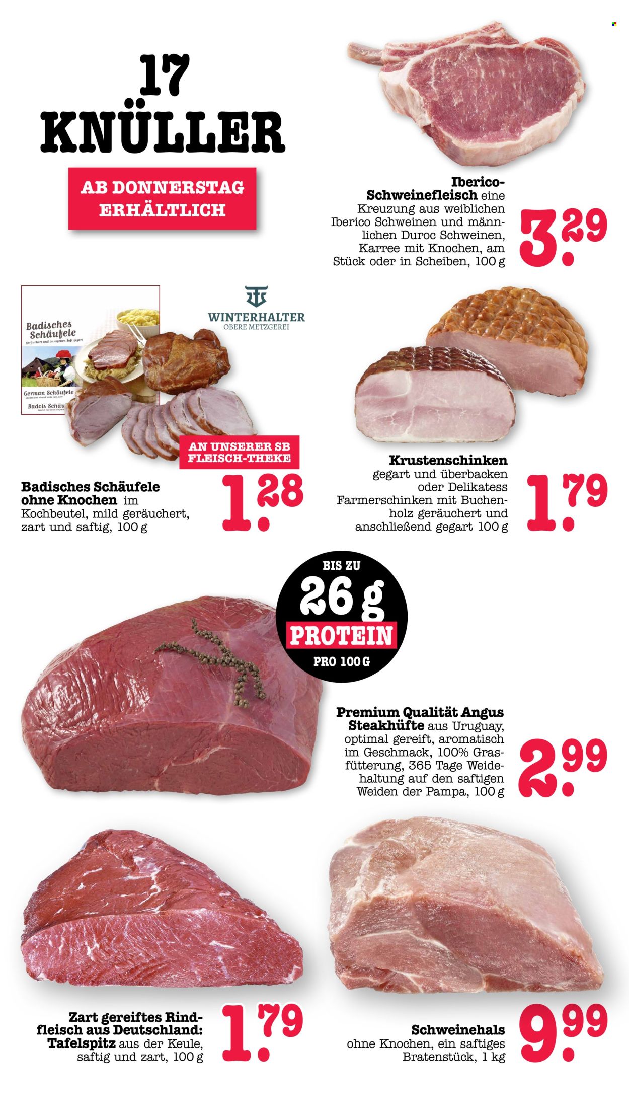 Scheck-in Prospekte  - 7.09.2026 - 12.09.2026. Seite 66