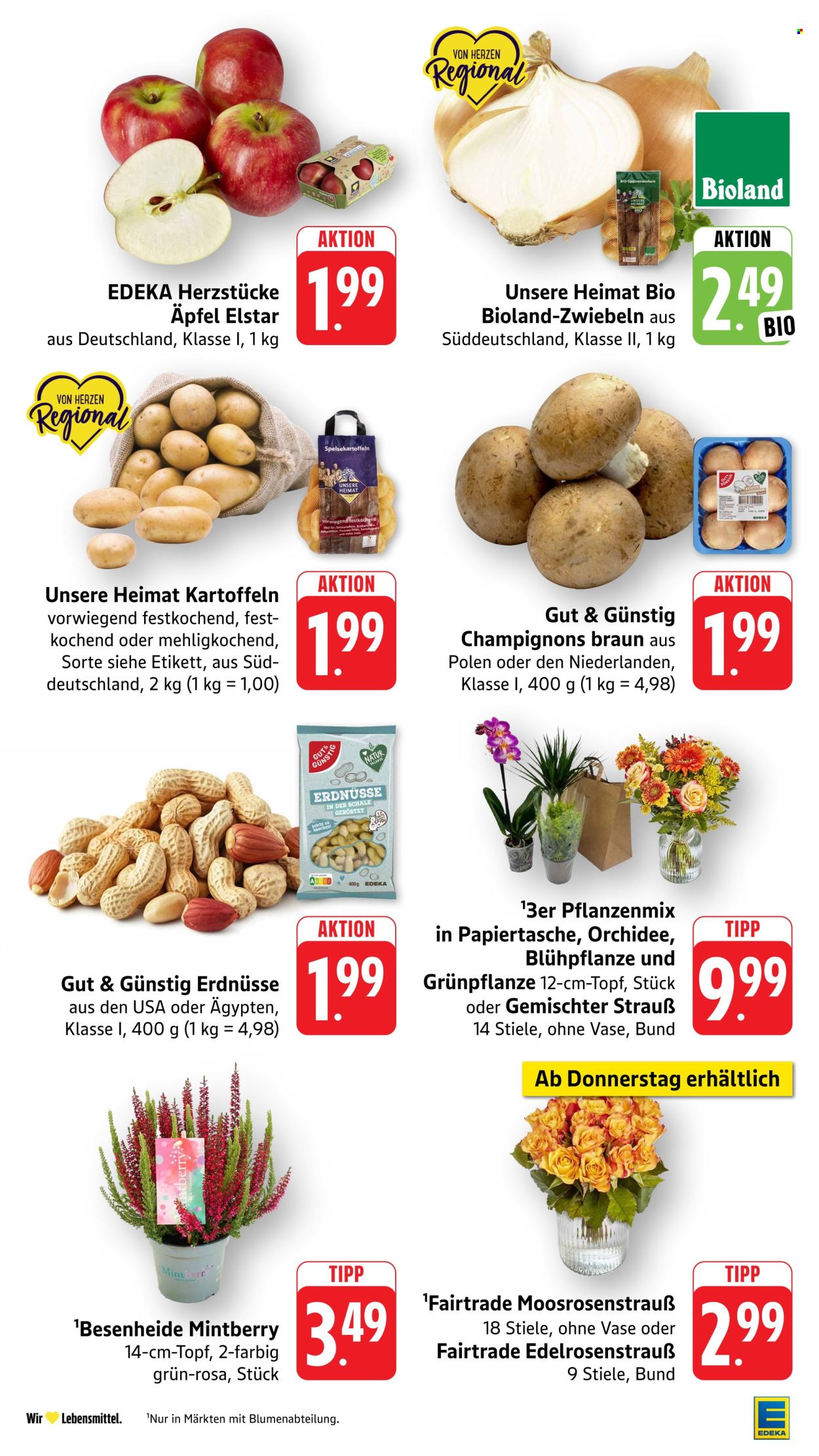 E center Prospekte  - 7.09.2026 - 12.09.2026. Seite 11