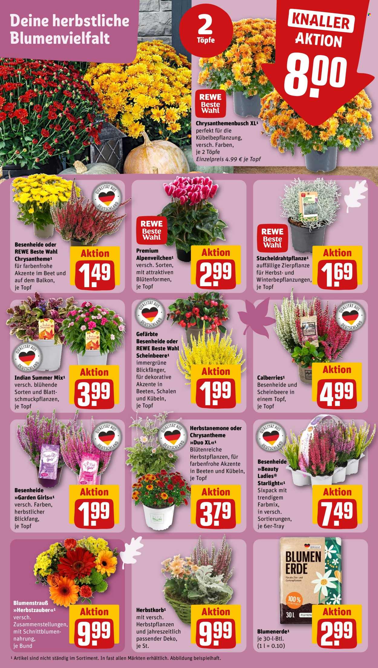 REWE Prospekte  - 14.09.2026 - 20.09.2026. Seite 5