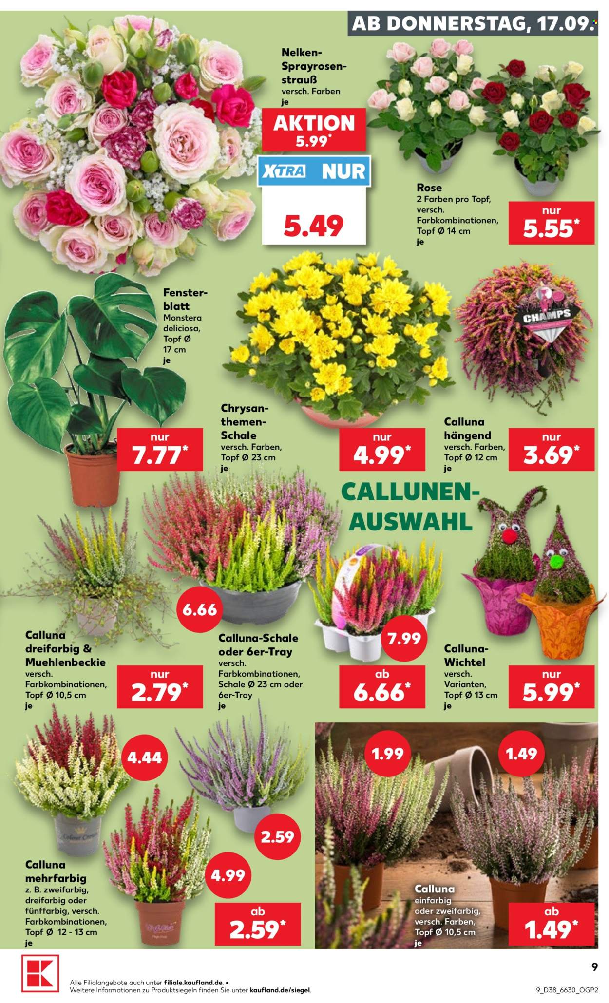 Kaufland Prospekte  - 17.09.2026 - 23.09.2026. Seite 9