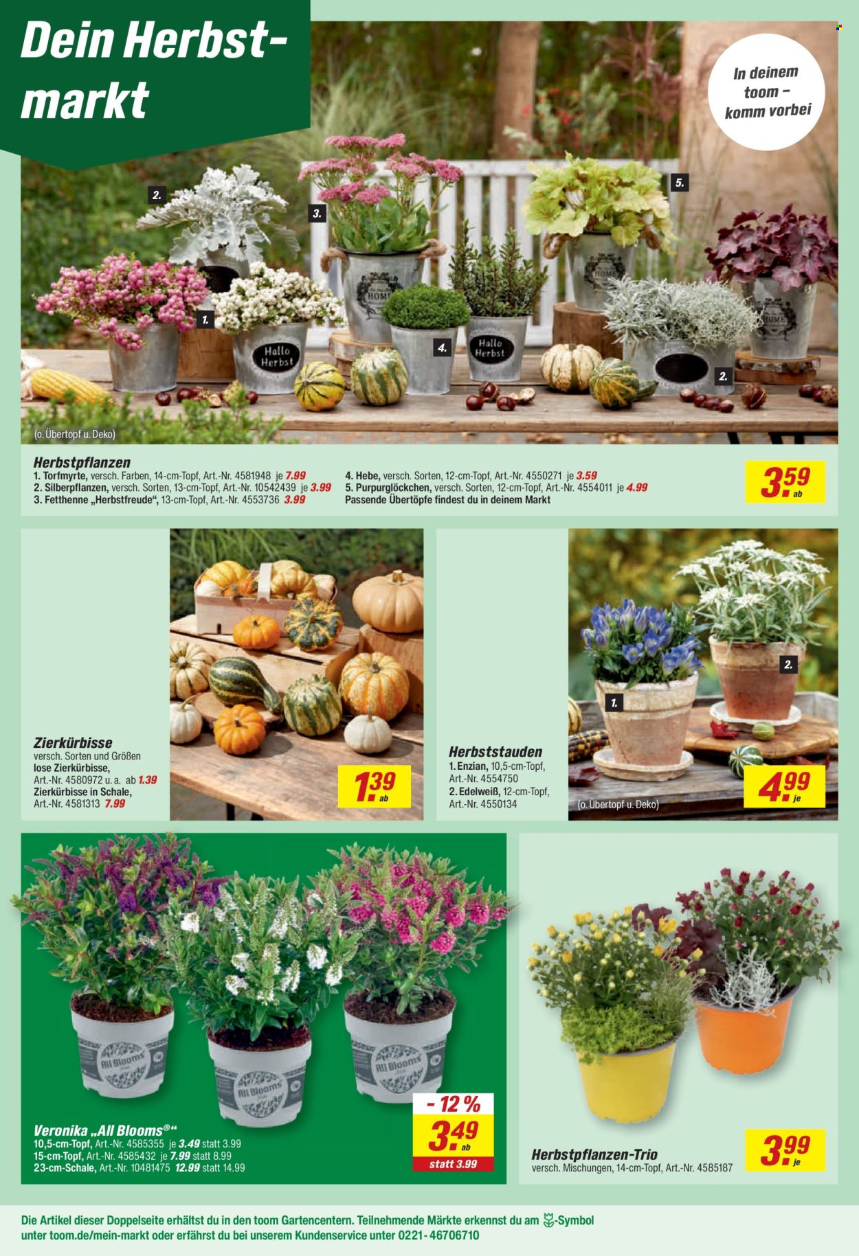 toom Baumarkt Prospekte  - 14.09.2026 - 26.09.2026. Seite 8