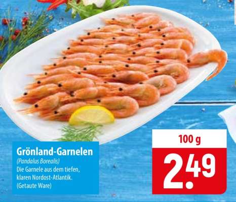 Grönland-Garnelen