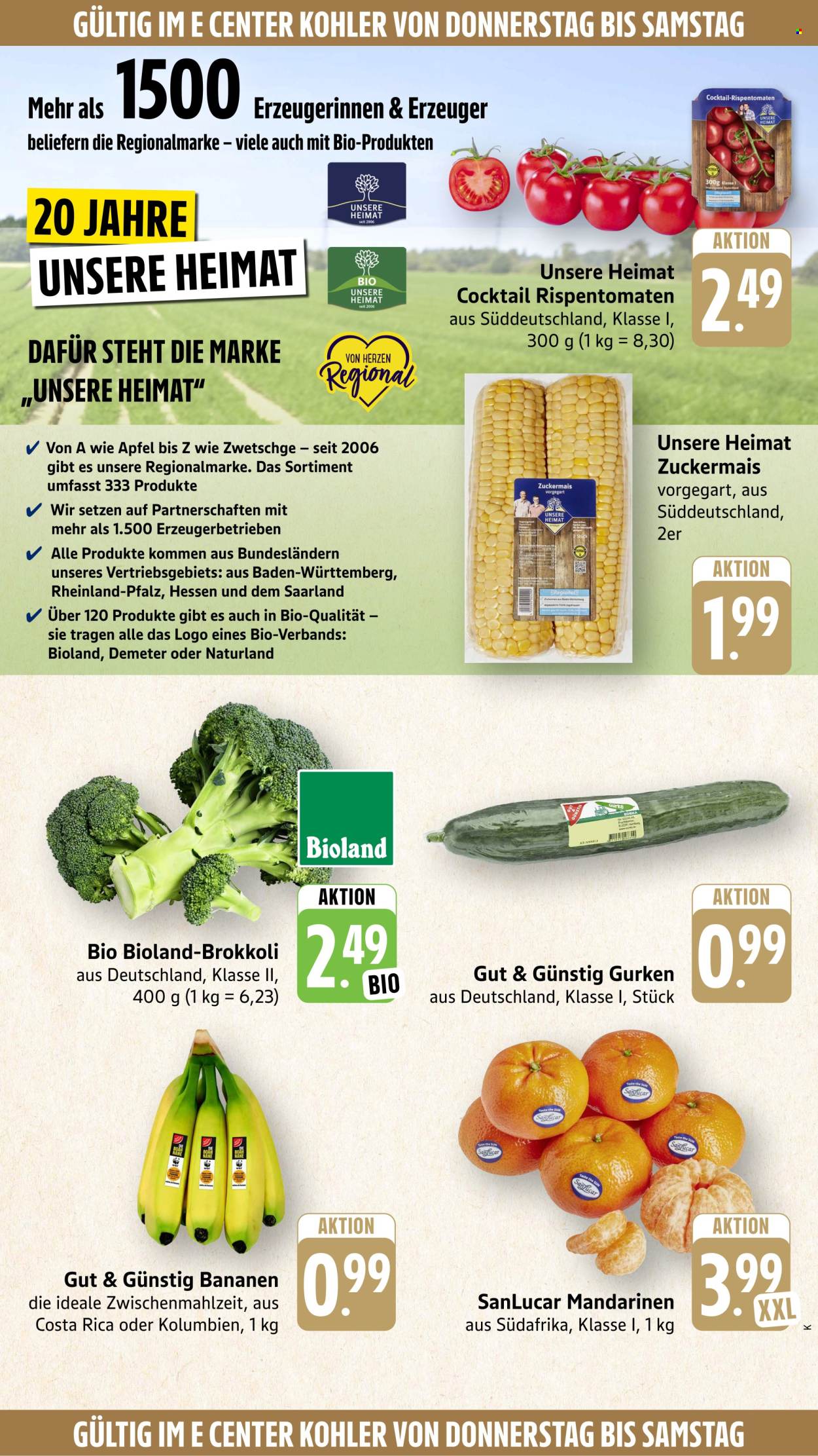 Edeka Prospekte  - 14.09.2026 - 19.09.2026. Seite 51