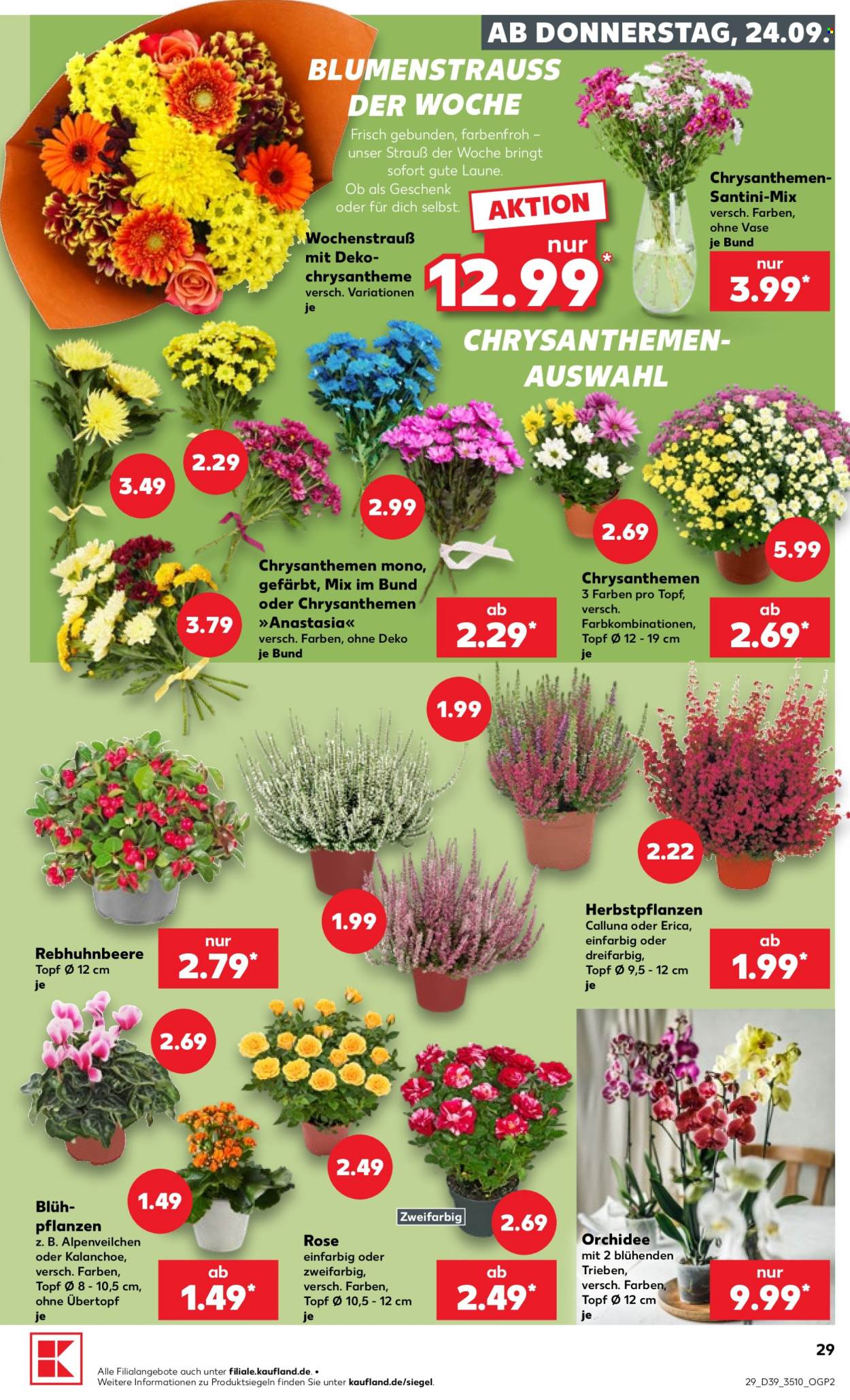 Kaufland Prospekte  - 24.09.2026 - 30.09.2026. Seite 29