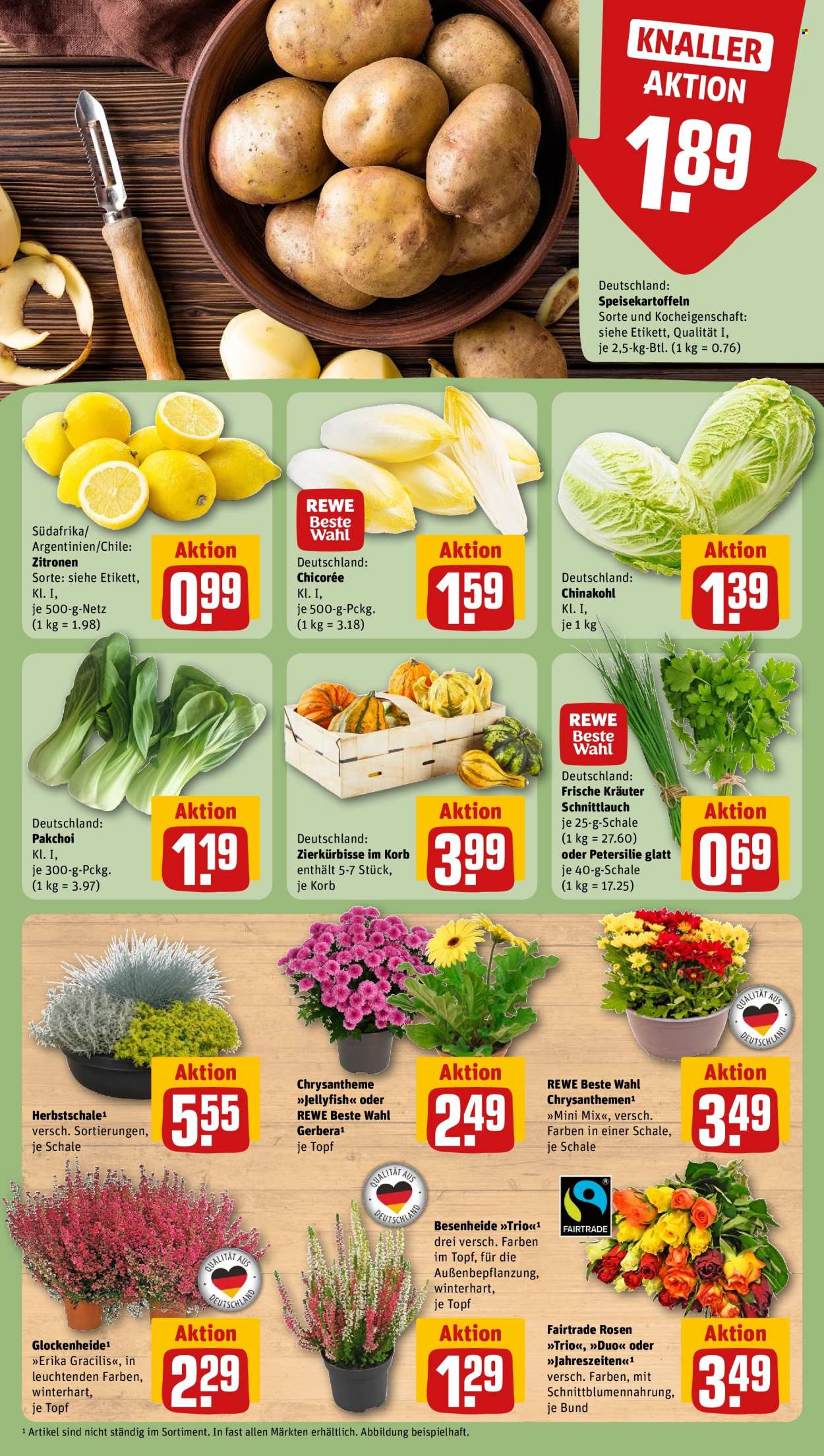 REWE Prospekte  - 21.09.2026 - 27.09.2026. Seite 13