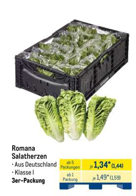 Romana Salatherzen