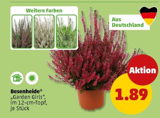 Besenheide