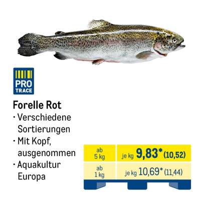 Forelle Rot