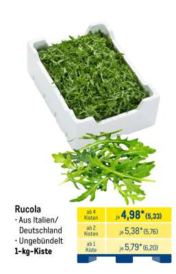Rucola