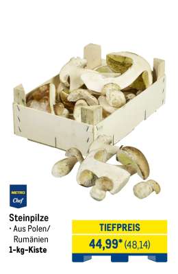 Steinpilze