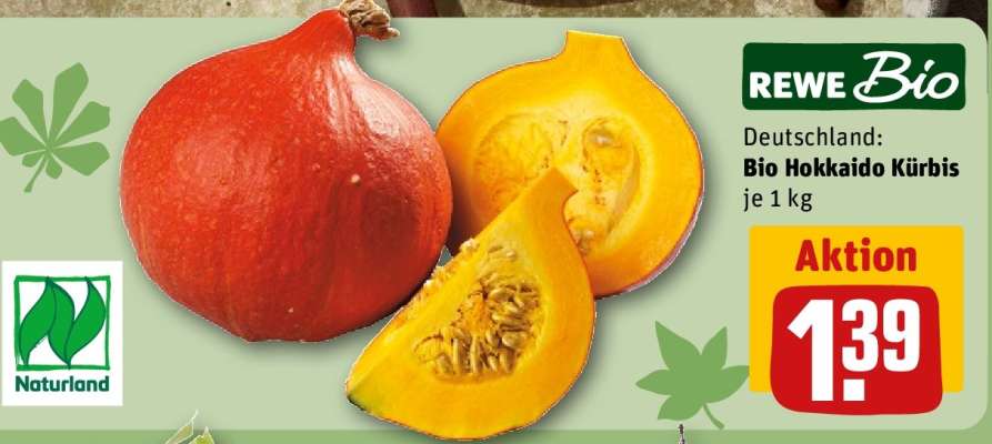 Bio Hokkaido Kürbis