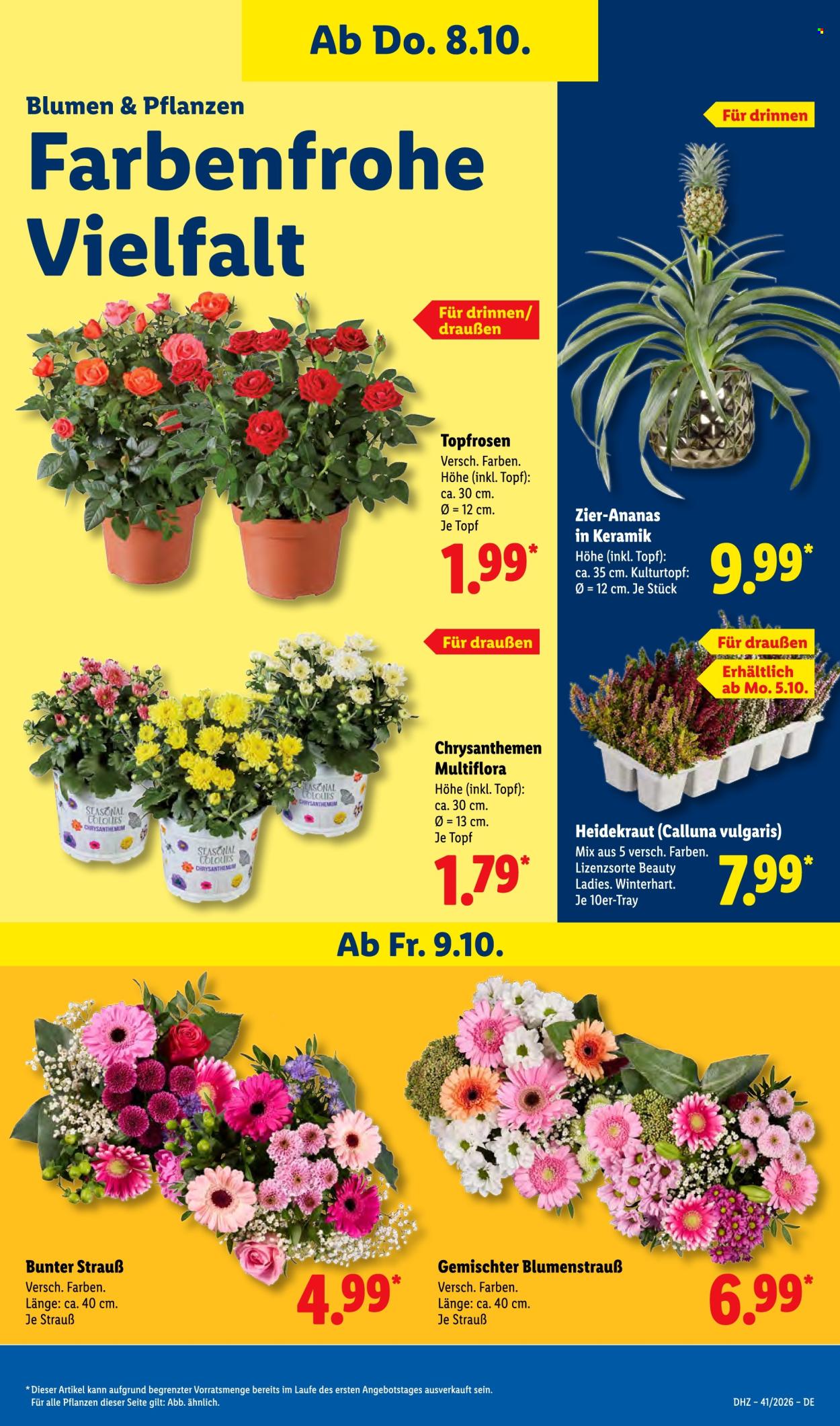 Lidl Prospekte  - 5.10.2026 - 10.10.2026. Seite 21