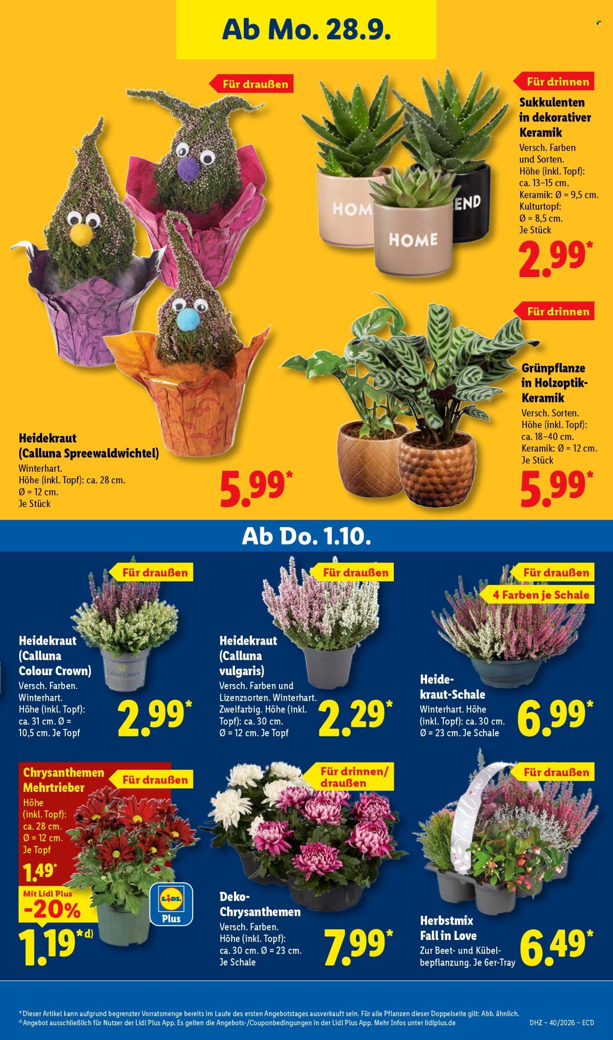 Lidl Prospekte  - 28.09.2026 - 2.10.2026. Seite 27