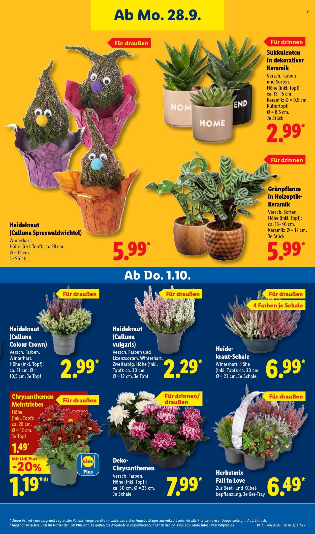 Lidl Prospekte  - 28.09.2026 - 2.10.2026. Seite 27