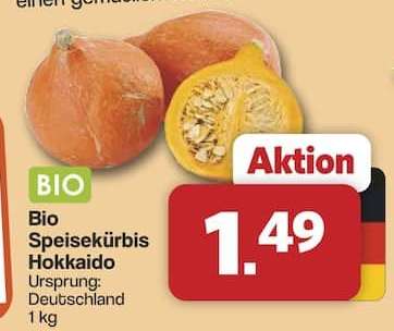 Bio-Speisekürbis „Hokkaido“