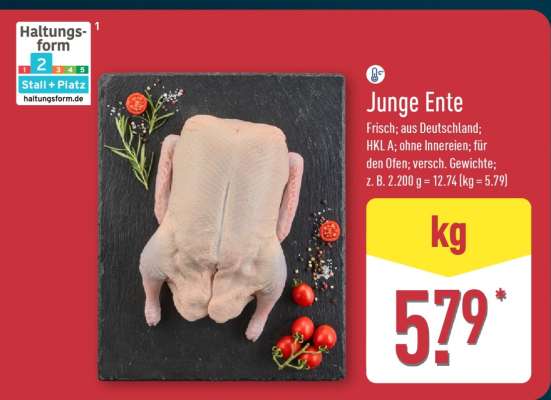 Junge Ente