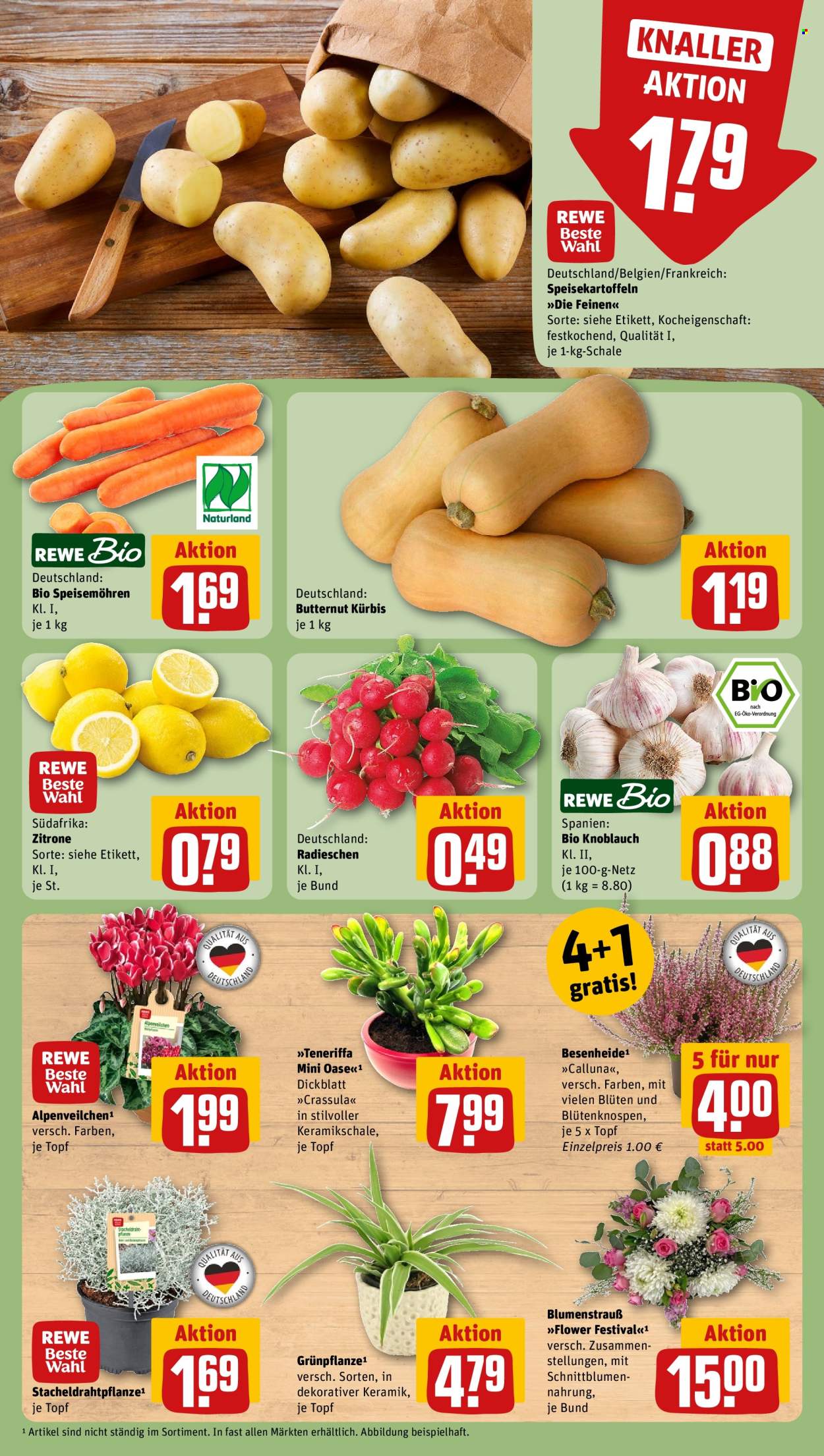 REWE Prospekte  - 5.10.2026 - 11.10.2026. Seite 9