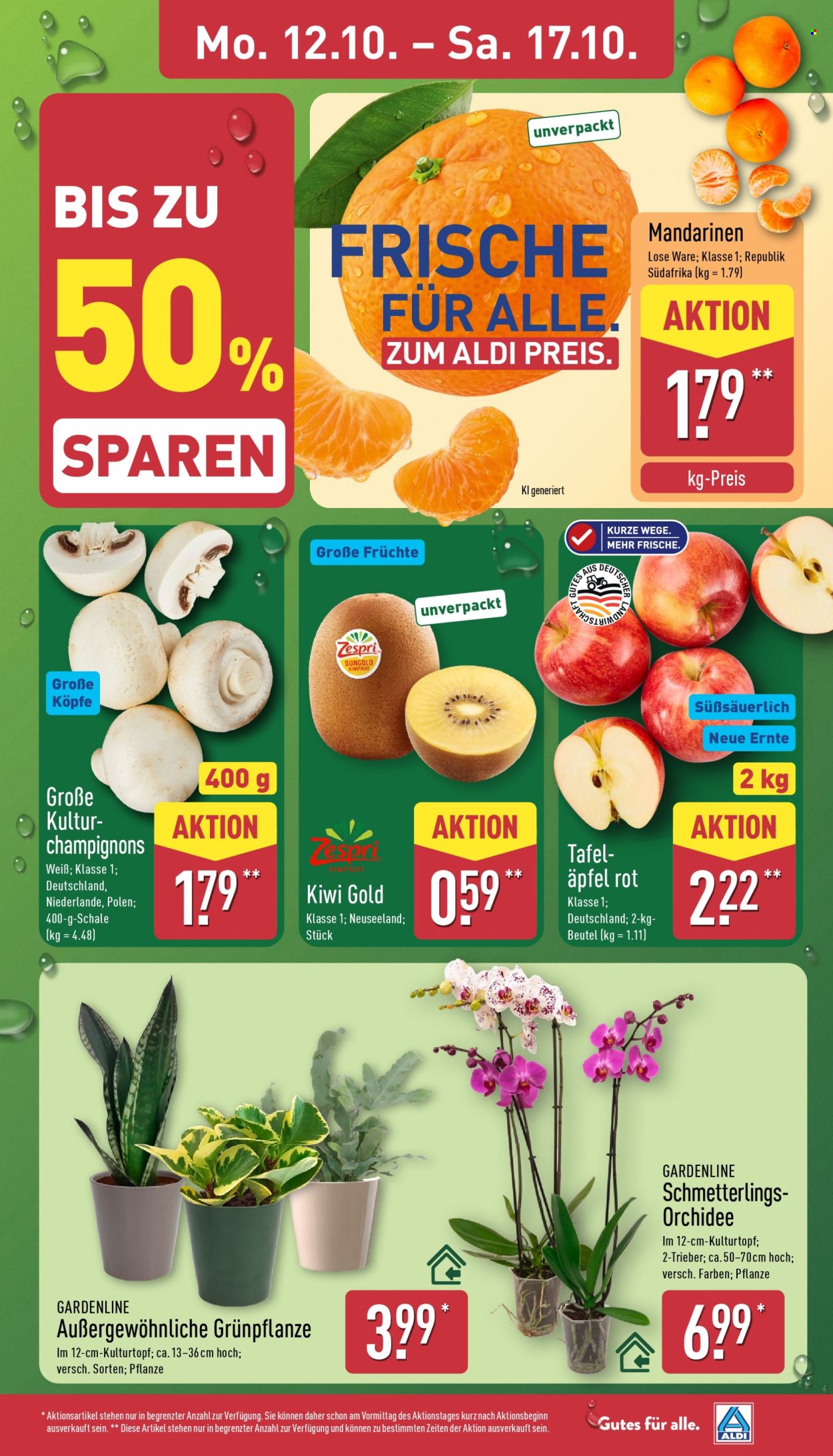 Leták ALDI Nord - 12.10.2026 - 17.10.2026. Strana 3