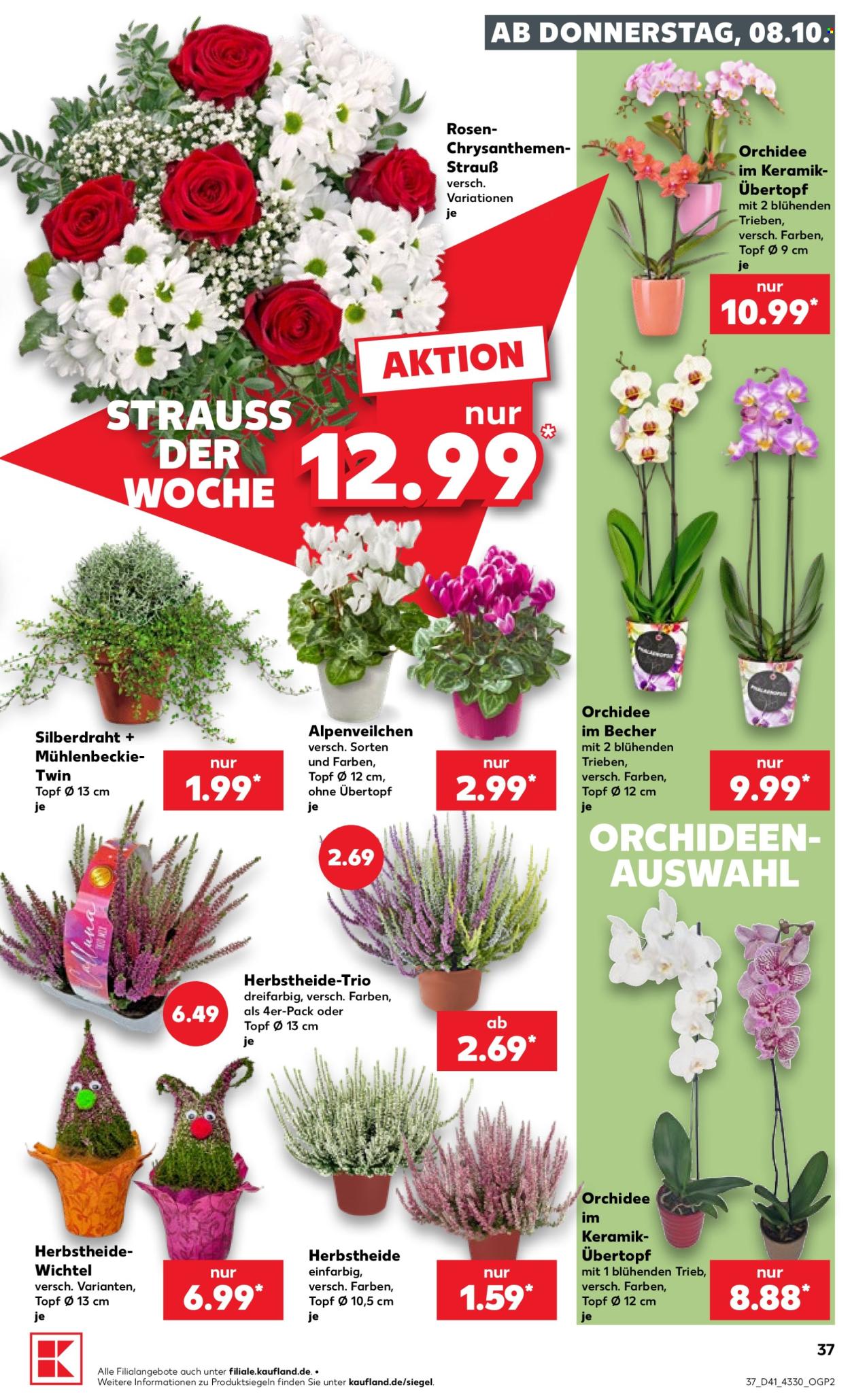 Kaufland Prospekte  - 8.10.2026 - 14.10.2026. Seite 37