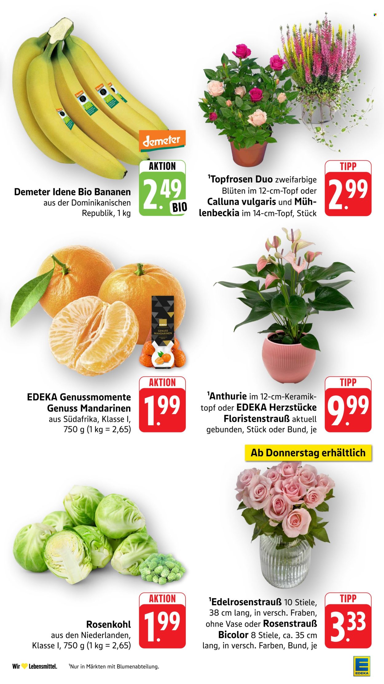 E center Prospekte  - 5.10.2026 - 10.10.2026. Seite 15