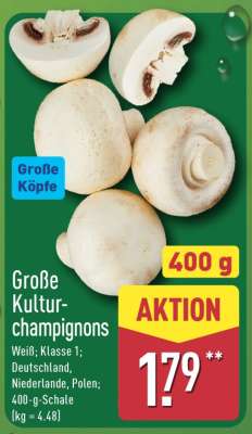 Große Kultur-champignons