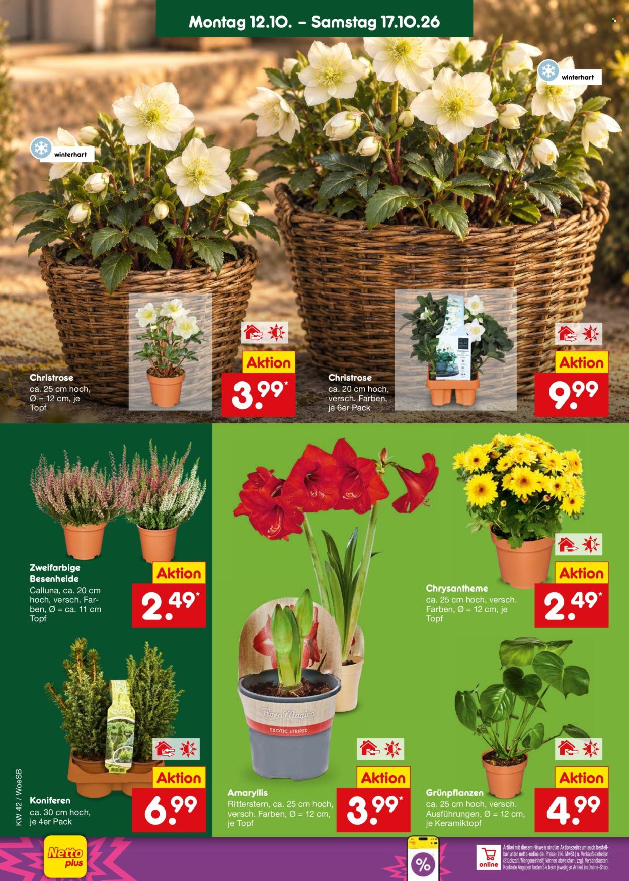 Leták Netto Marken-Discount - 12.10.2026 - 17.10.2026. Strana 10
