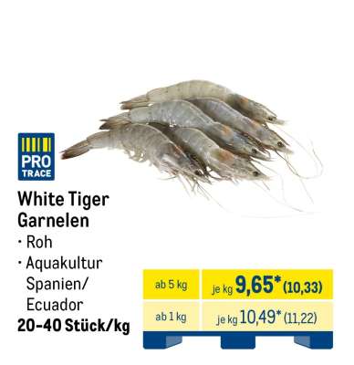 White Tiger Garnelen