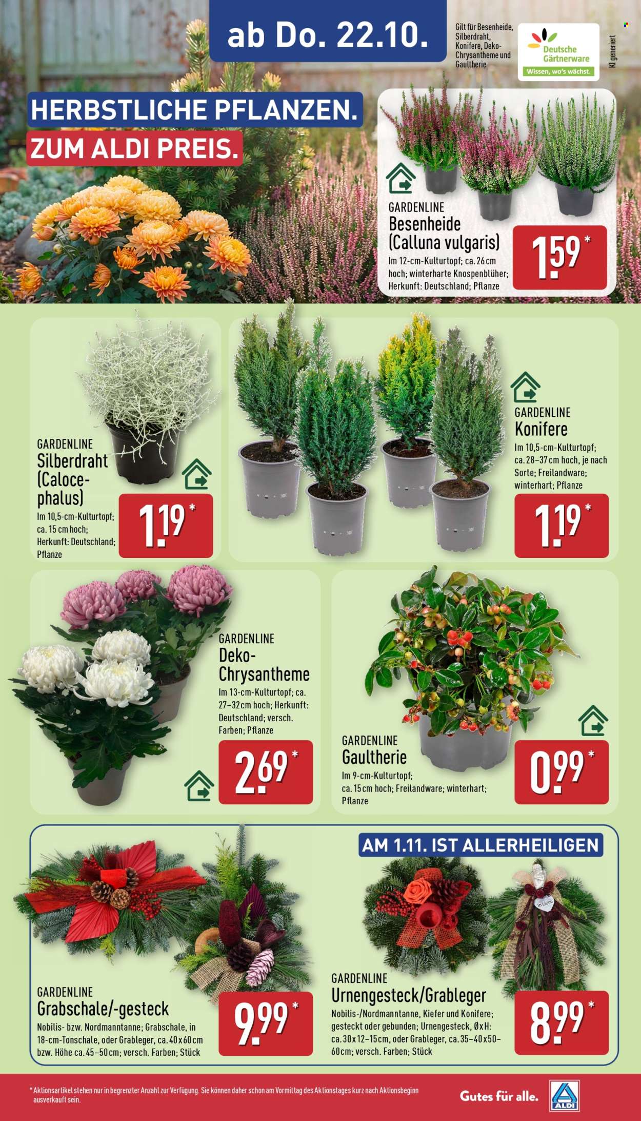 Leták ALDI Nord - 19.10.2026 - 24.10.2026. Strana 29