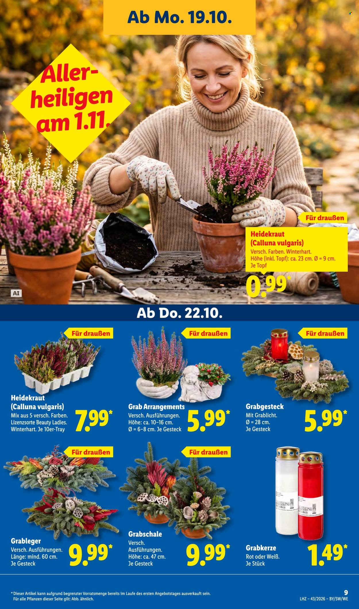 Leták Lidl - 19.10.2026 - 24.10.2026. Strana 17