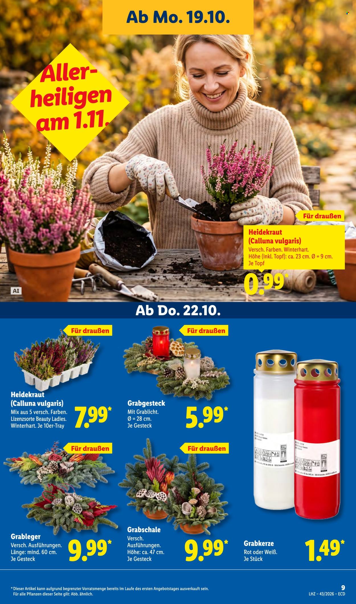 Leták Lidl - 19.10.2026 - 24.10.2026. Strana 17