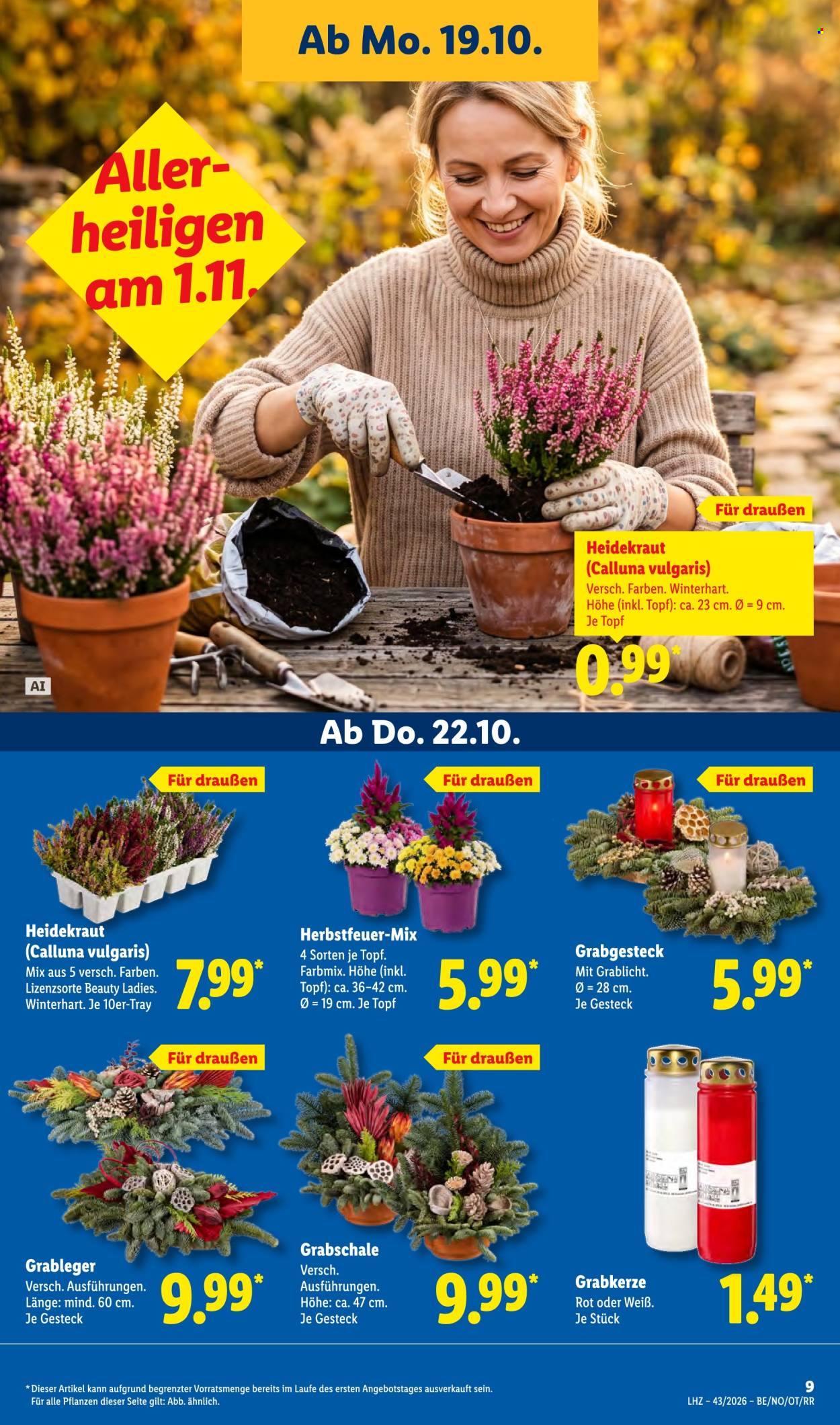 Lidl Prospekte  - 19.10.2026 - 24.10.2026. Seite 21