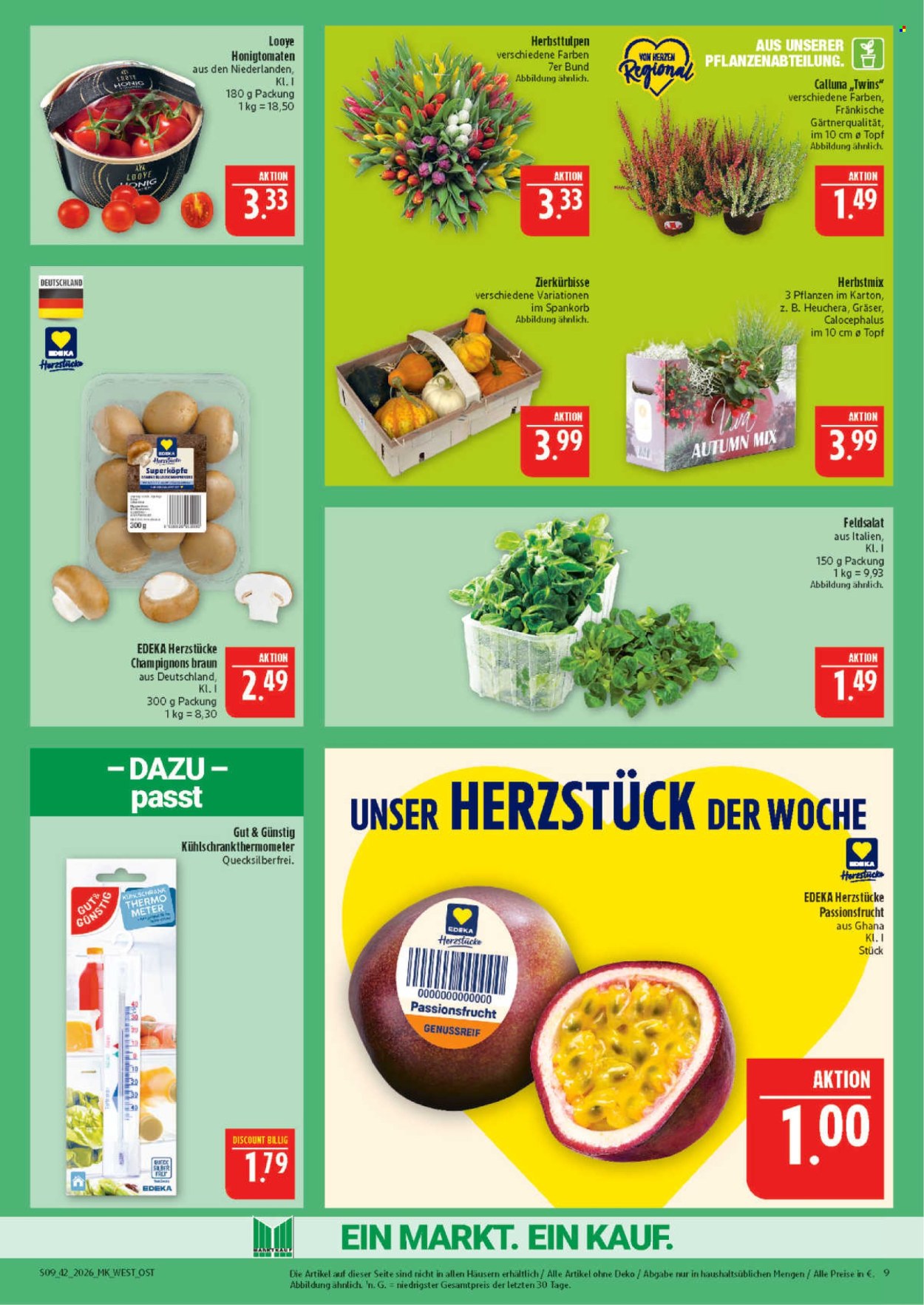 Leták Marktkauf - 12.10.2026 - 17.10.2026. Strana 9