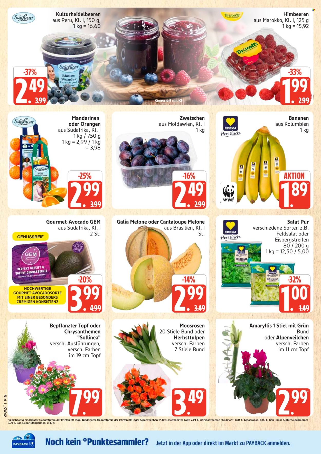 Leták Marktkauf - 12.10.2026 - 17.10.2026. Strana 4