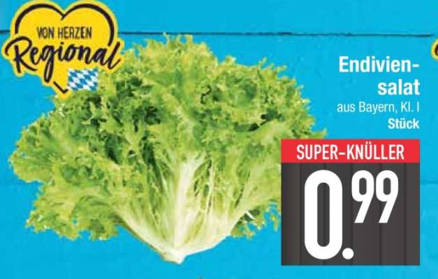 Endiviensalat