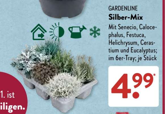 GARDENLINE Silber-Mix