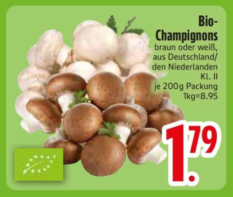 Bio-Champignons