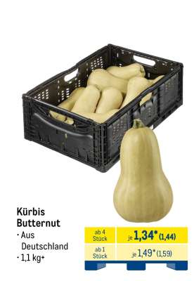 Kürbis Butternut