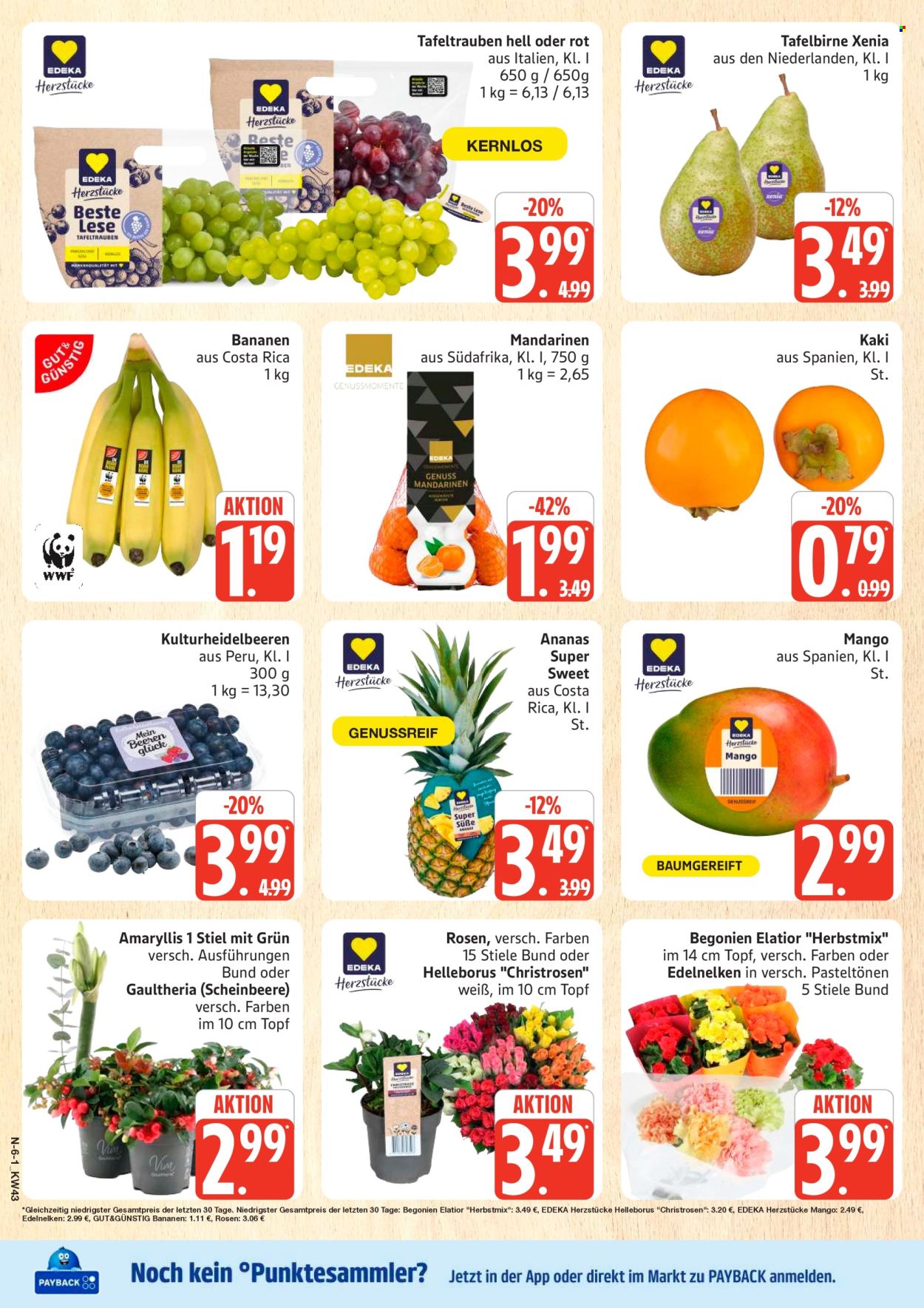 Marktkauf Prospekte  - 19.10.2026 - 24.10.2026. Seite 6
