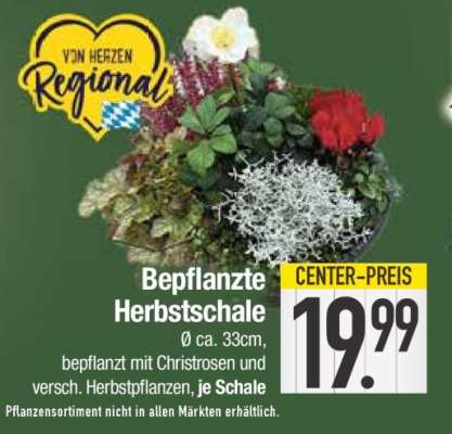 Bepflanzte Herbstschale
